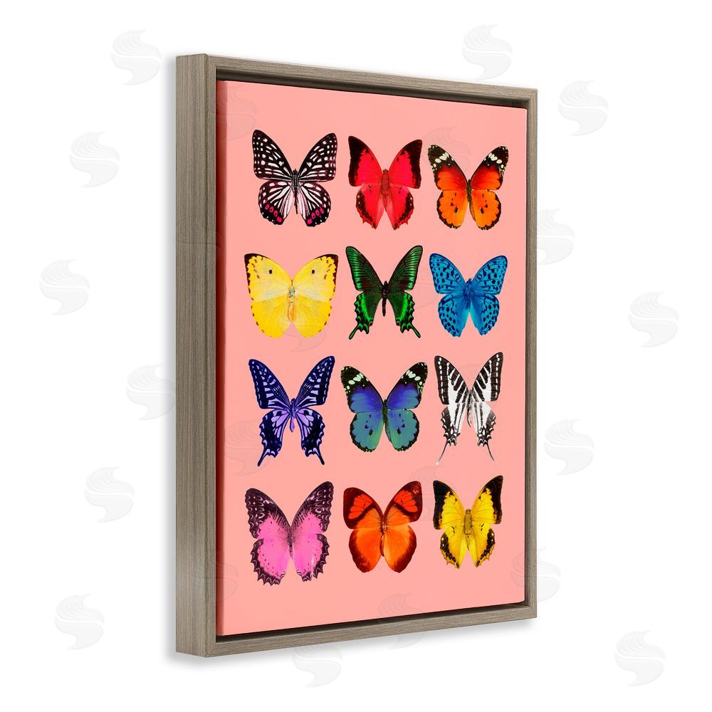 LISH Creative Butterfly Species on Pink Brown Floating Frame Canvas Wall Art Print