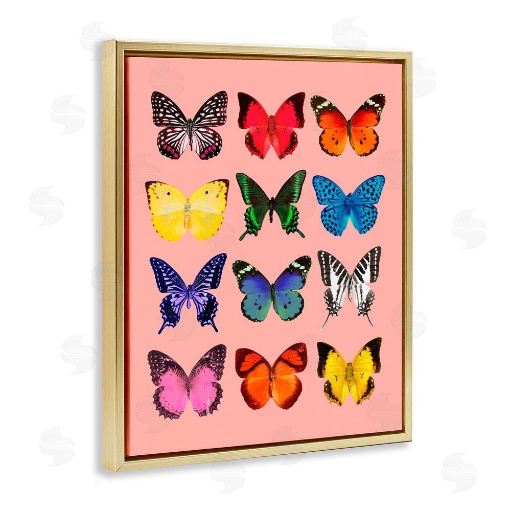LISH Creative Butterfly Species on Pink Gold Floating Frame Canvas Wall Art Print