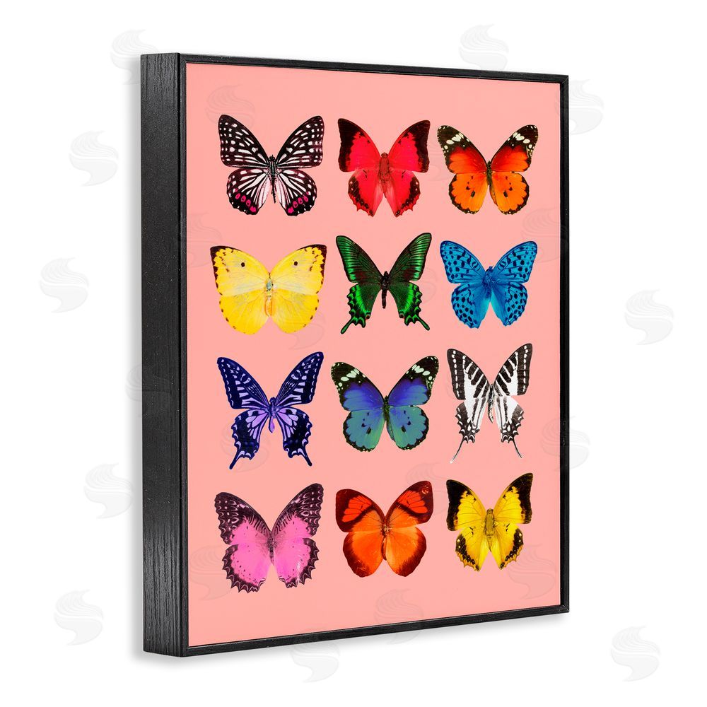 LISH Creative Butterfly Species on Pink Black Framed Giclee Print Wall Art