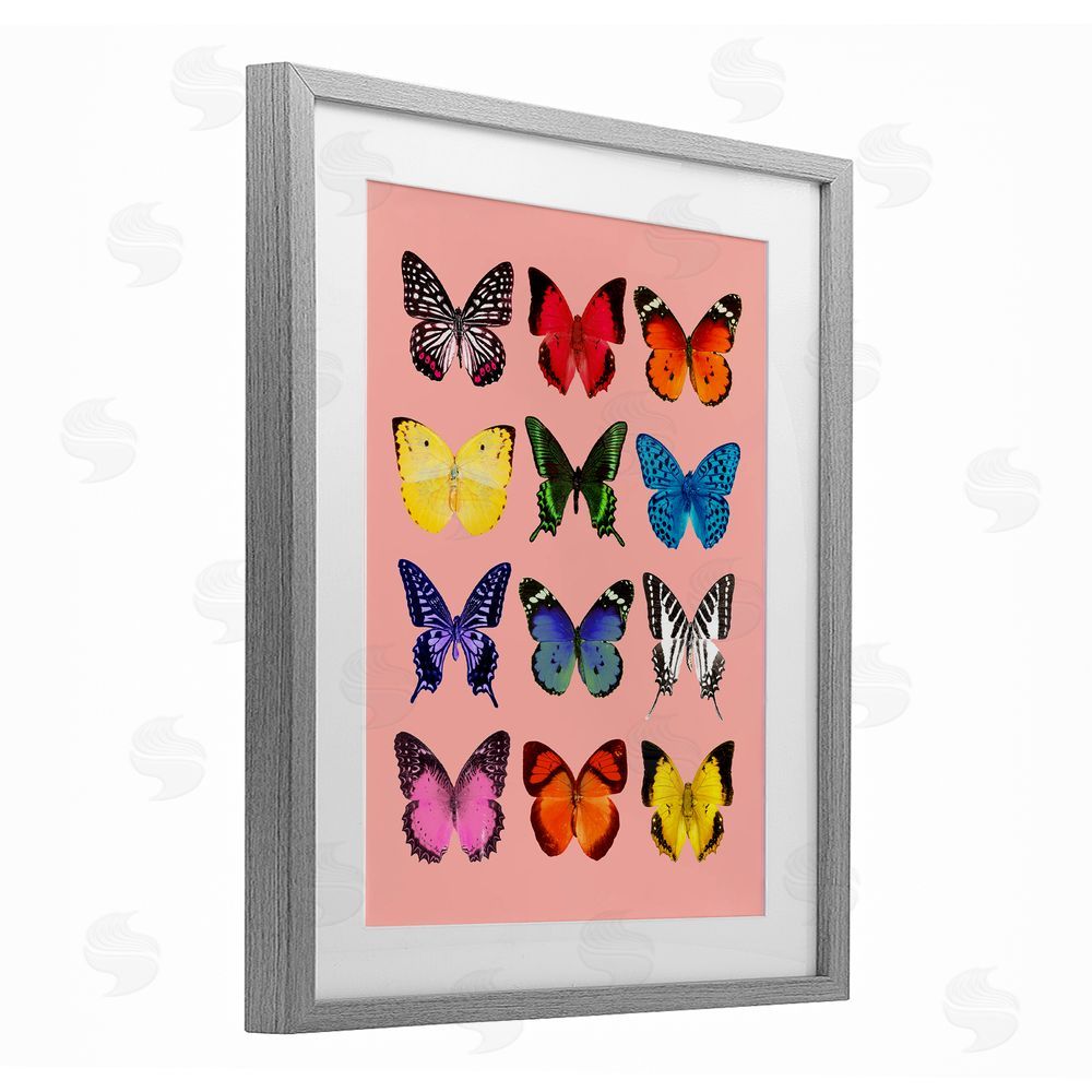 LISH Creative Butterfly Species on Pink Gray Framed Print Under Glass Wall Art