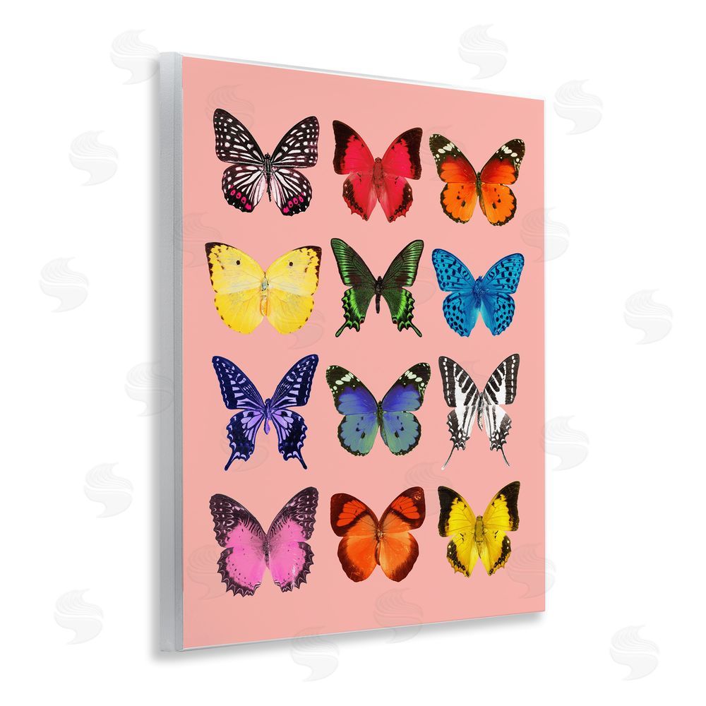 LISH Creative Butterfly Species on Pink Wooden Wall Plaque Art Print