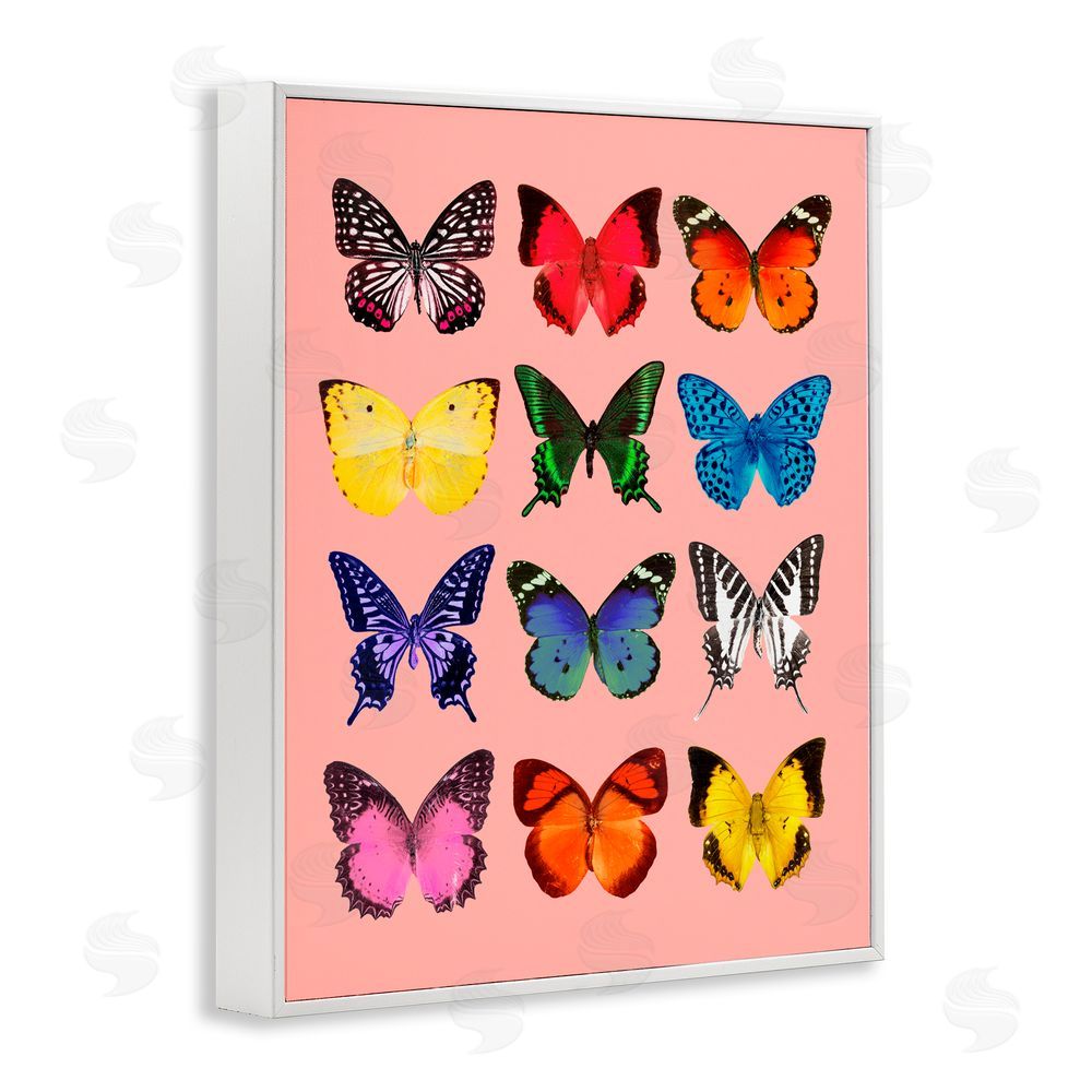 LISH Creative Butterfly Species on Pink White Framed Giclee Print Wall Art
