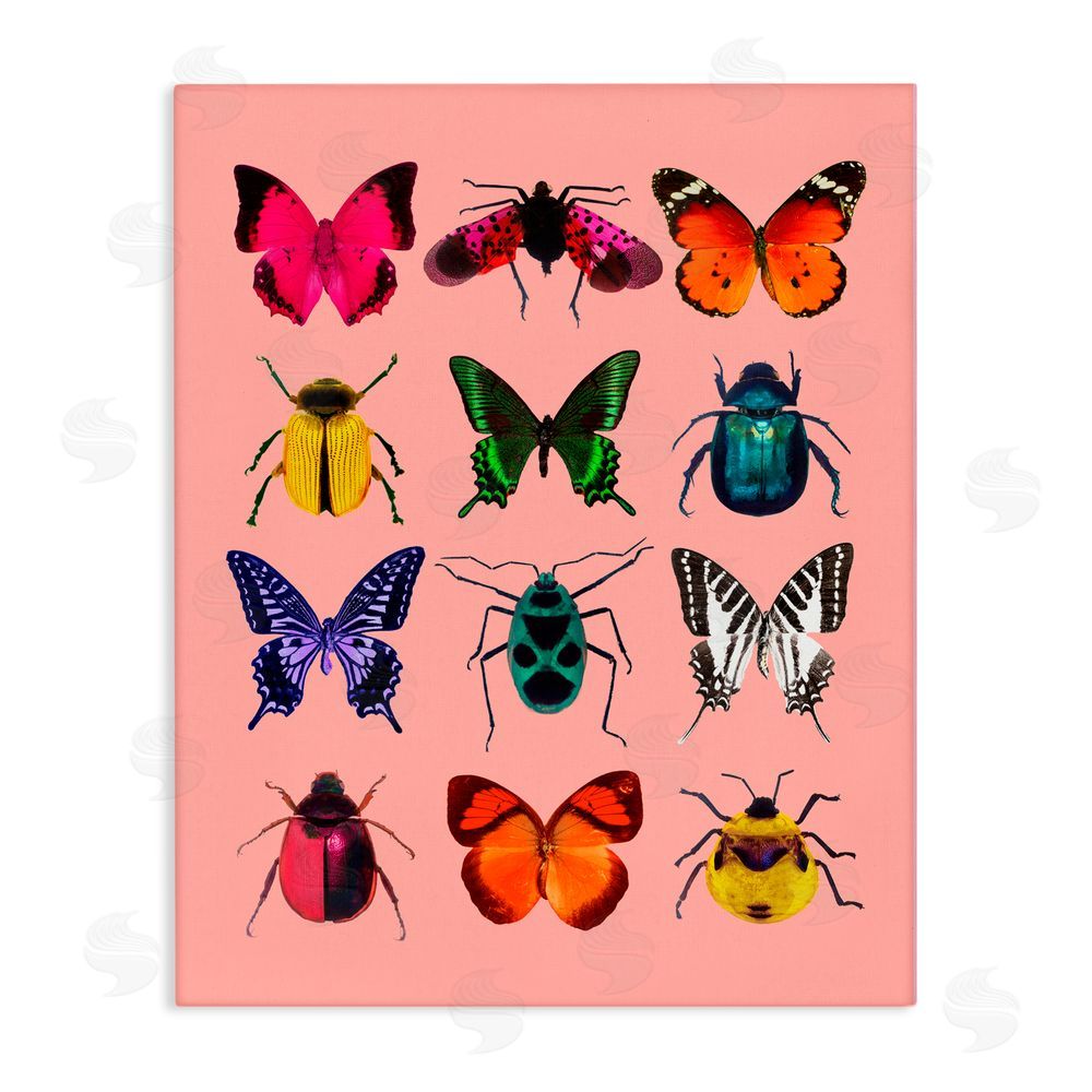LISH Creative Colorful Bug Species on Pink Stretched Canvas Wall Art Print