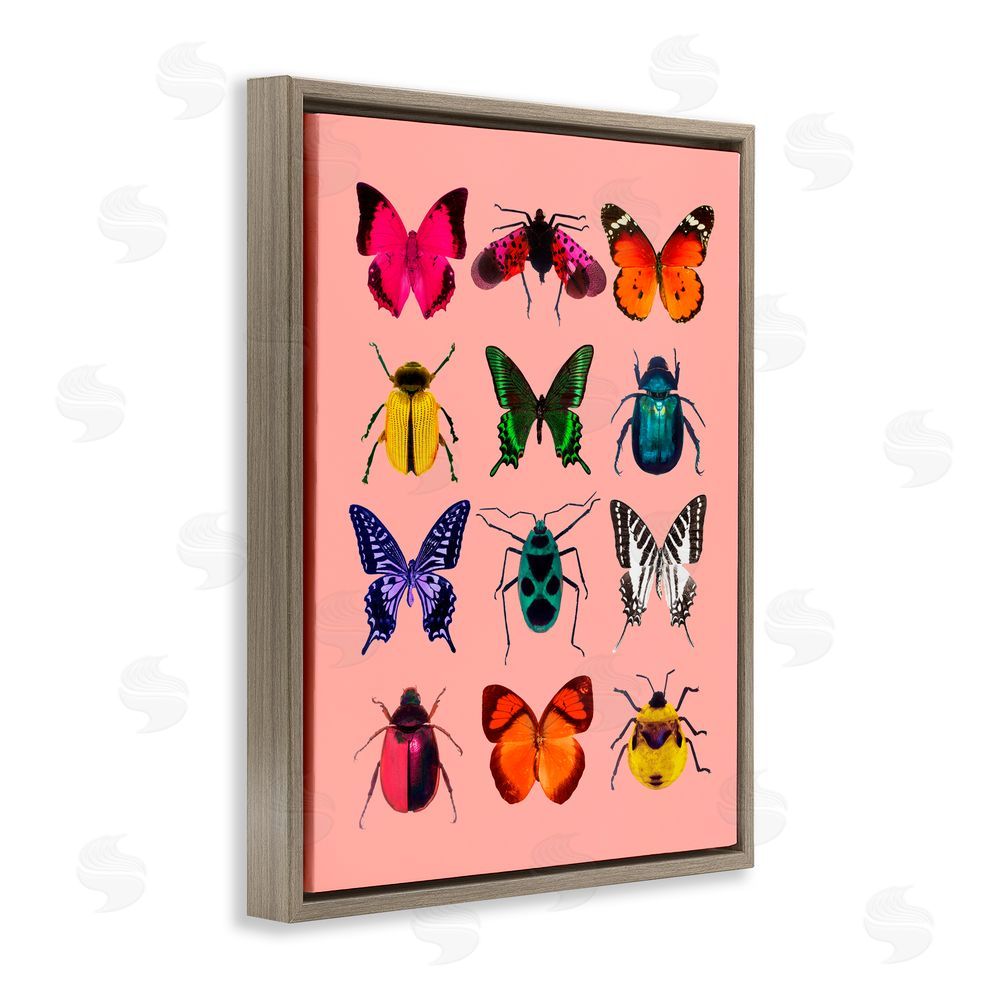 LISH Creative Colorful Bug Species on Pink Brown Floating Frame Canvas Wall Art Print