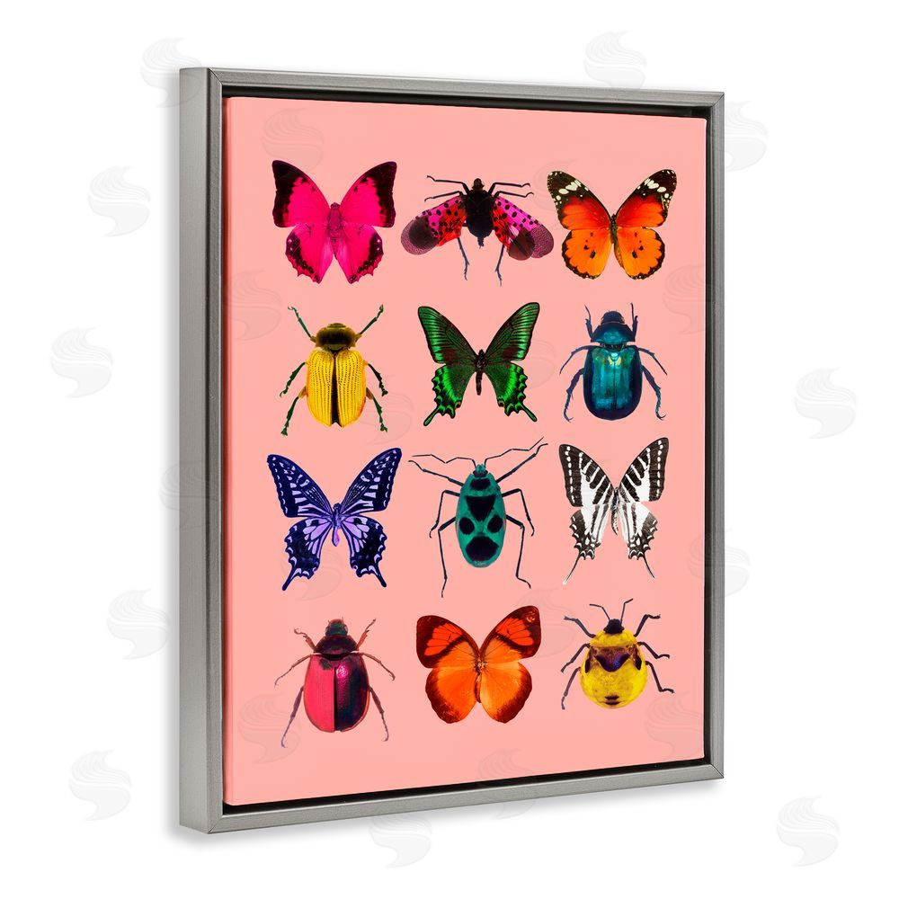 LISH Creative Colorful Bug Species on Pink Gray Floating Frame Canvas Wall Art Print