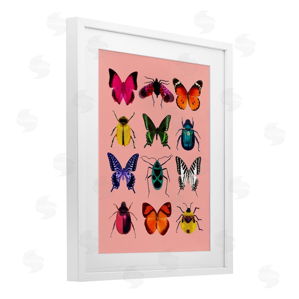 LISH Creative Colorful Bug Species on Pink White Framed Print Under Glass Wall Art