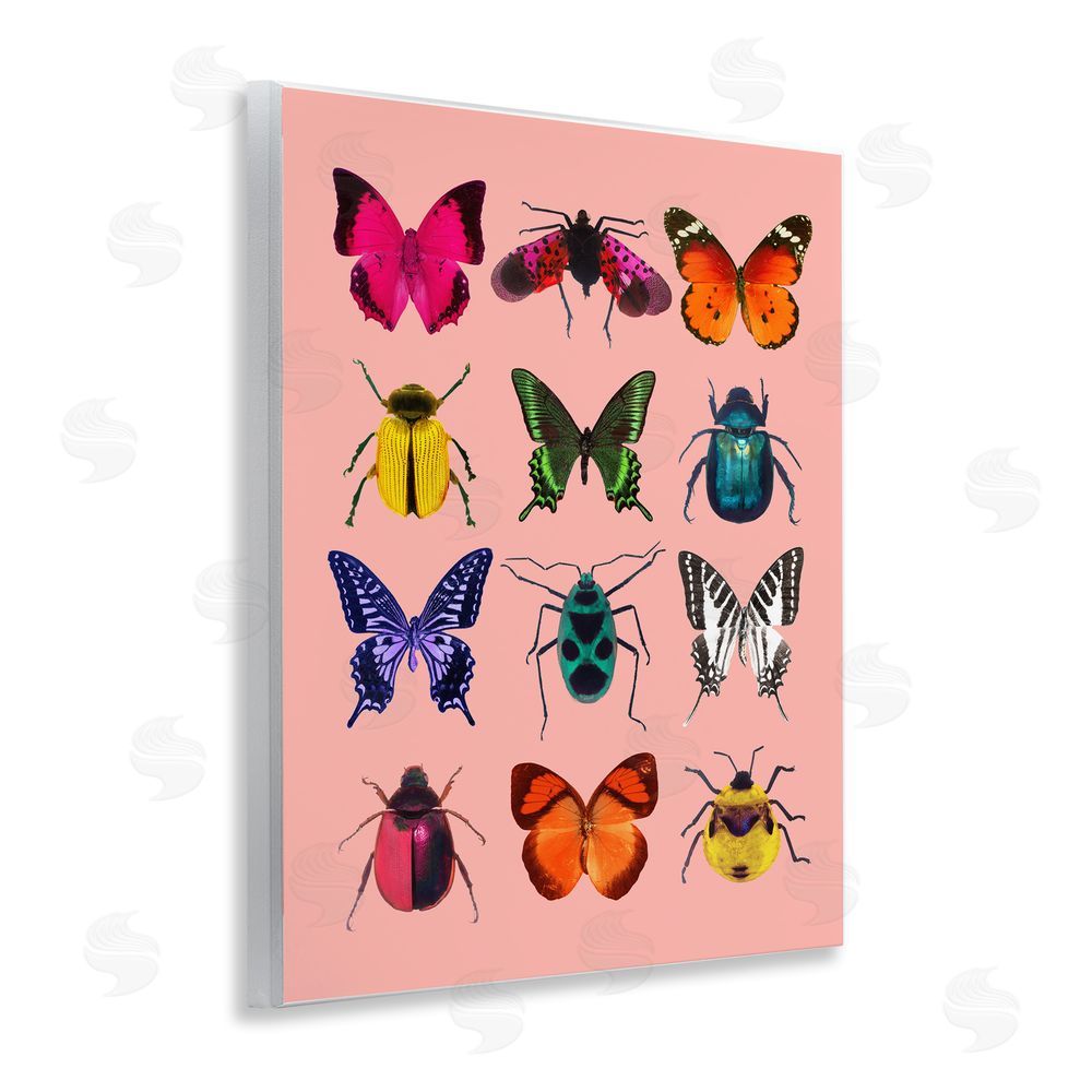LISH Creative Colorful Bug Species on Pink Wooden Wall Plaque Art Print