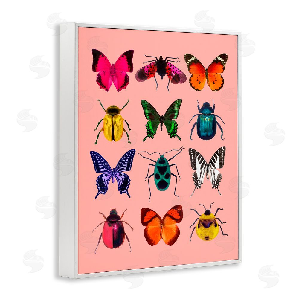 LISH Creative Colorful Bug Species on Pink White Framed Giclee Print Wall Art