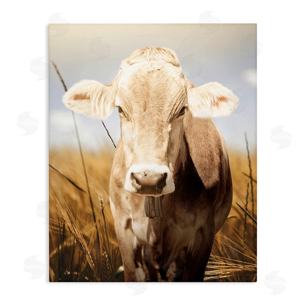 Marcus Prime Simple Belle Cow Portrait Stretched Canvas Wall Art Print