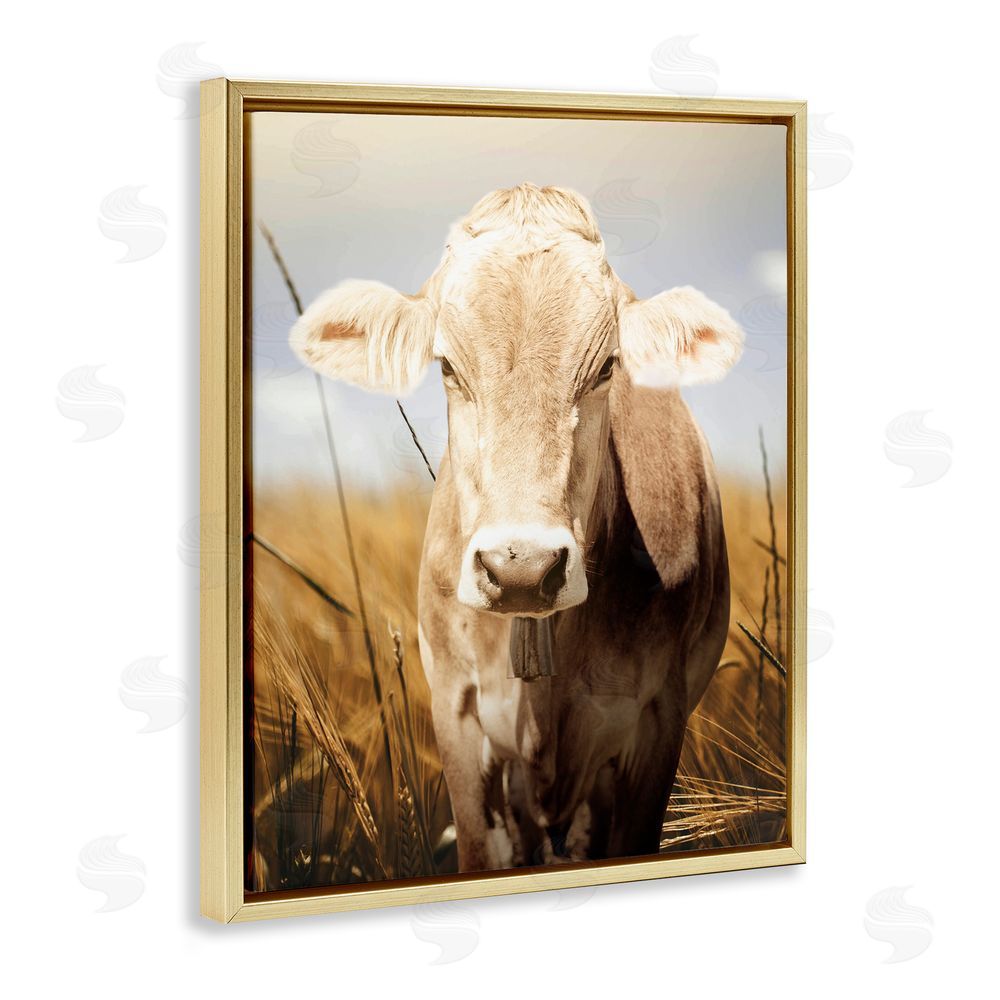 Marcus Prime Simple Belle Cow Portrait Gold Floating Frame Canvas Wall Art Print