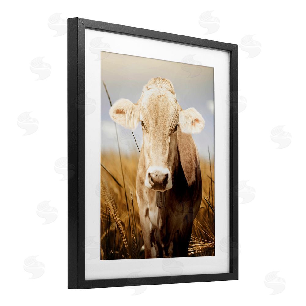 Marcus Prime Simple Belle Cow Portrait Black Framed Print Under Glass Wall Art