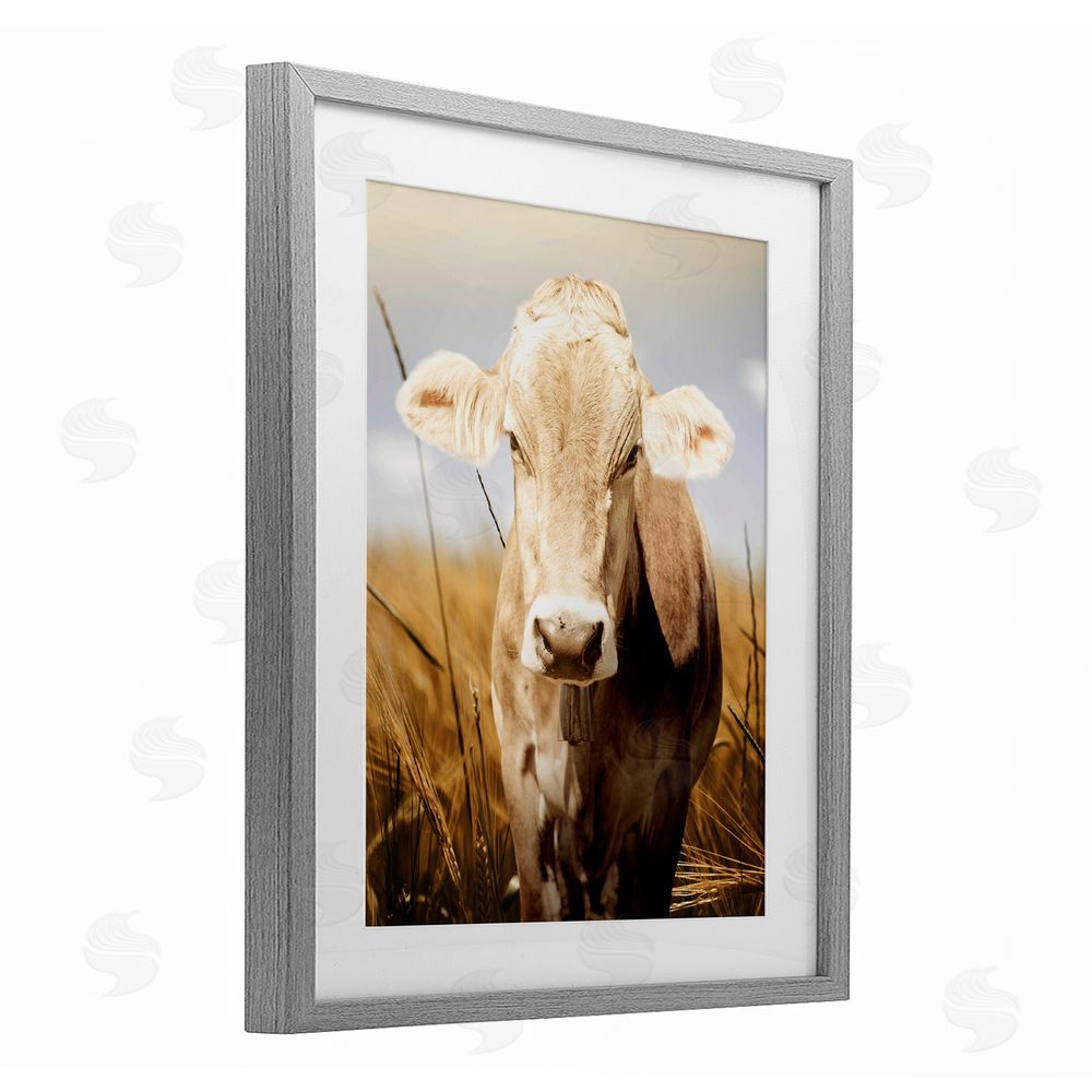 Marcus Prime Simple Belle Cow Portrait Gray Framed Print Under Glass Wall Art