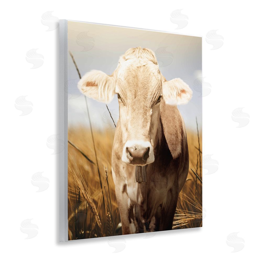 Marcus Prime Simple Belle Cow Portrait Wall Plaque Art Print