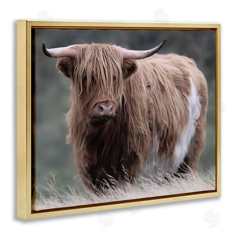 Marcus Prime Wandering Harry Highland Cattle Gold Floating Frame Canvas Wall Art Print