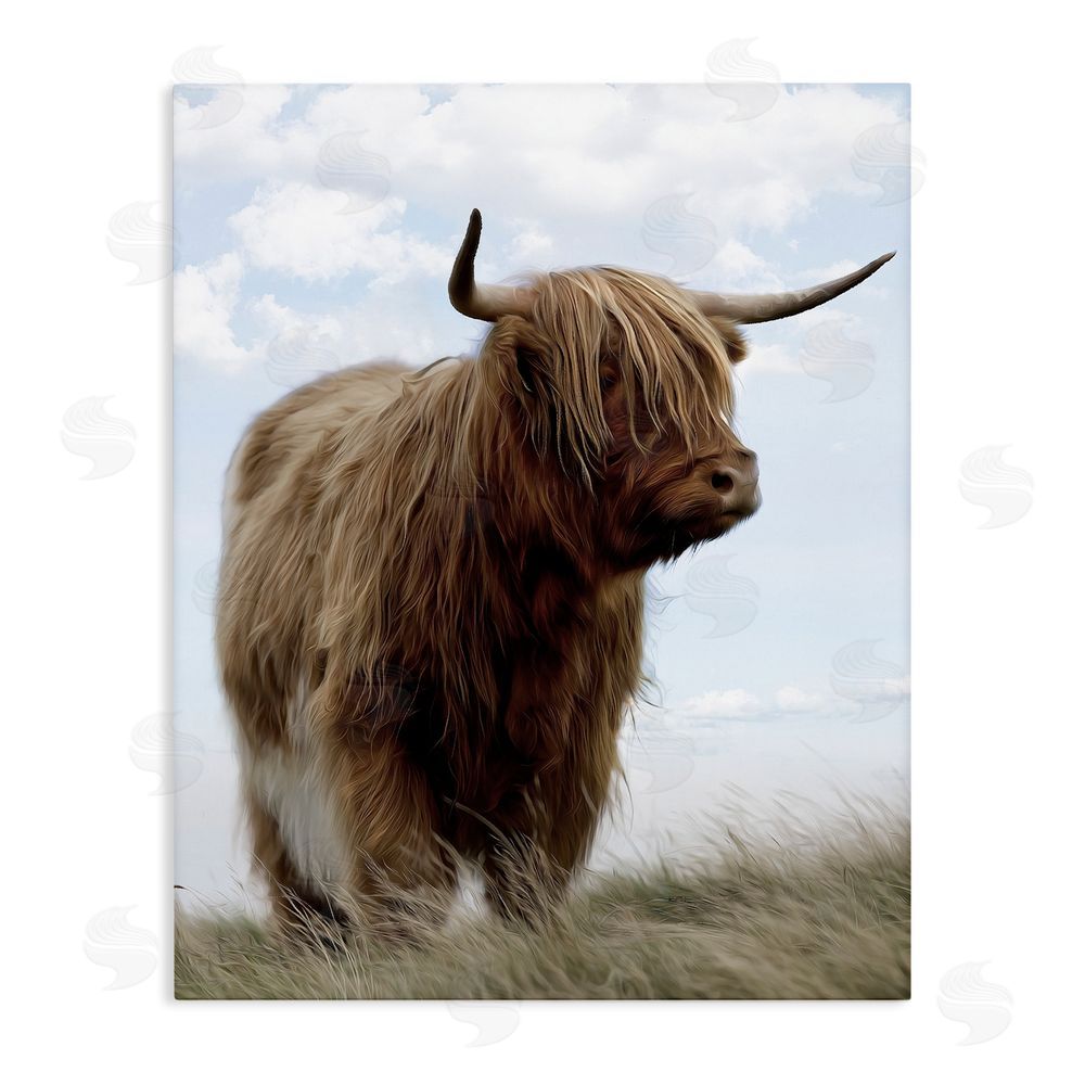 Marcus Prime Restful Look Highland Cattle Stretched Canvas Wall Art Print