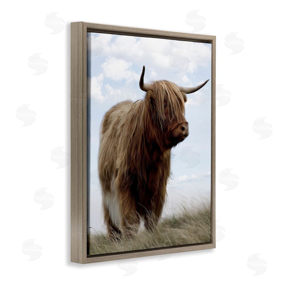 Marcus Prime Restful Look Highland Cattle Brown Floating Frame Canvas Wall Art Print