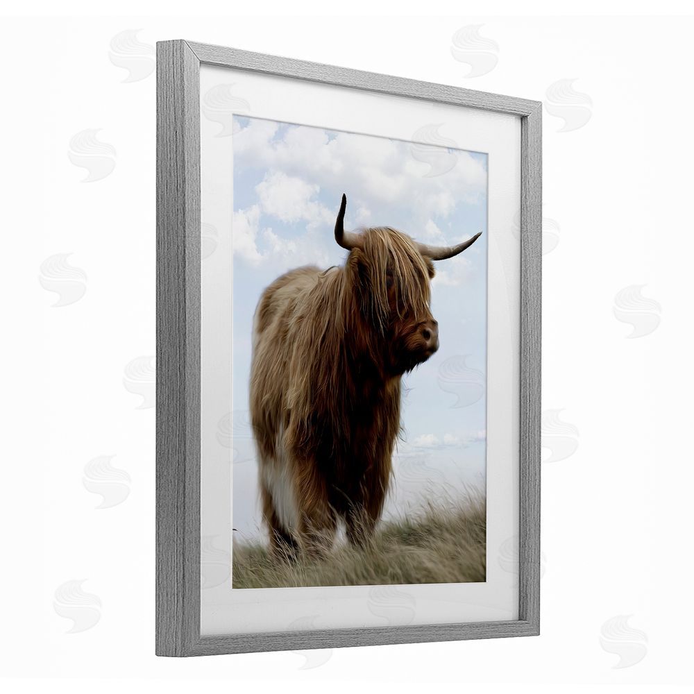 Marcus Prime Restful Look Highland Cattle Gray Framed Print Under Glass Wall Art