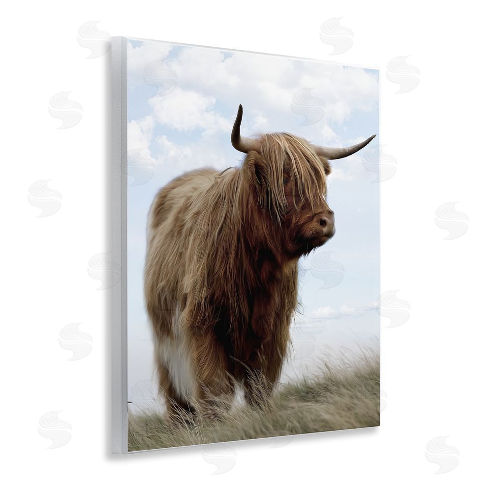 Marcus Prime Restful Look Highland Cattle Wall Plaque Art Print