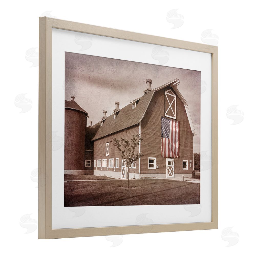 Marcus Prime Rural America Barn Birch Framed Print Under Glass Wall Art