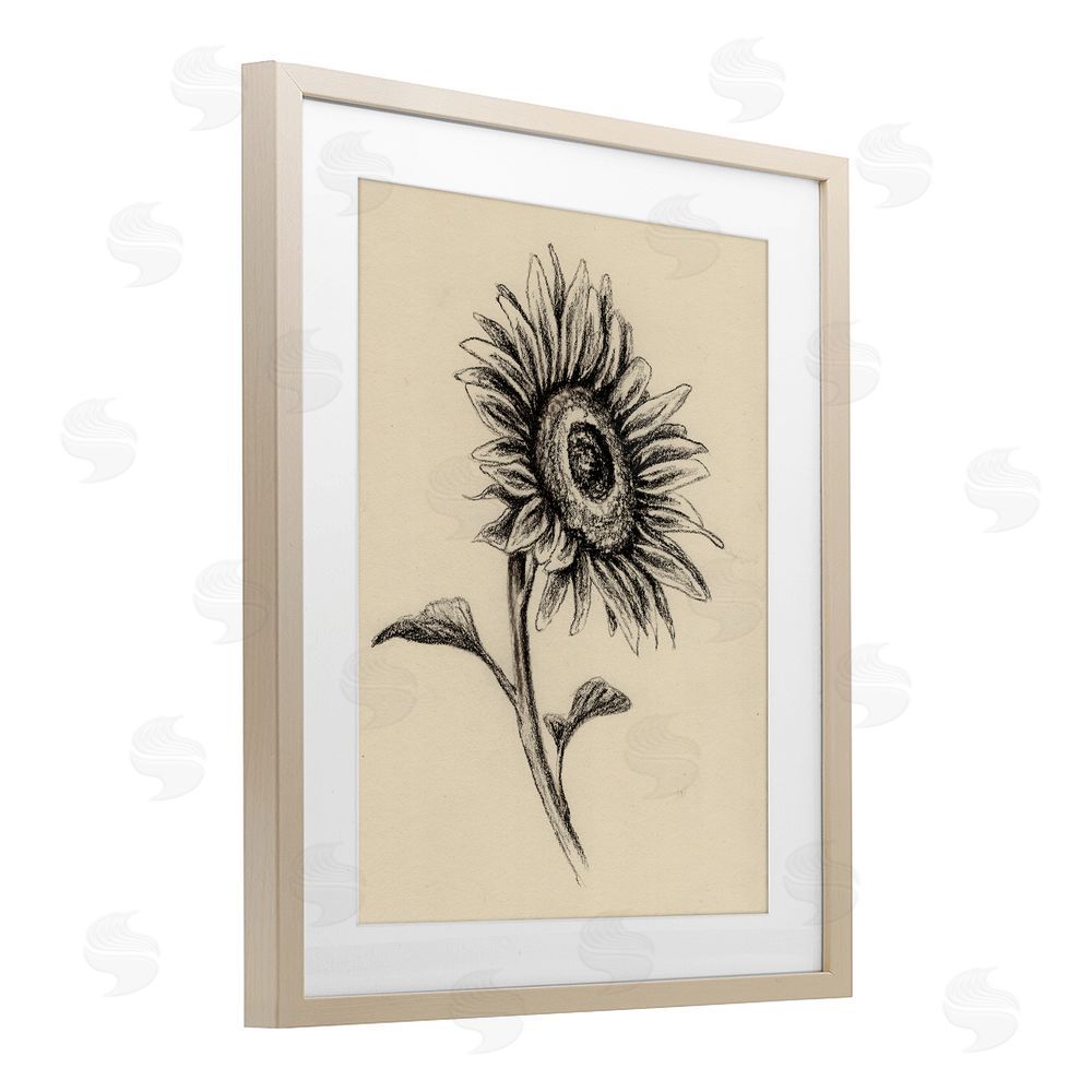 Leah Noel Art Sunflowers in Charcoal Birch Framed Print Under Glass Wall Art