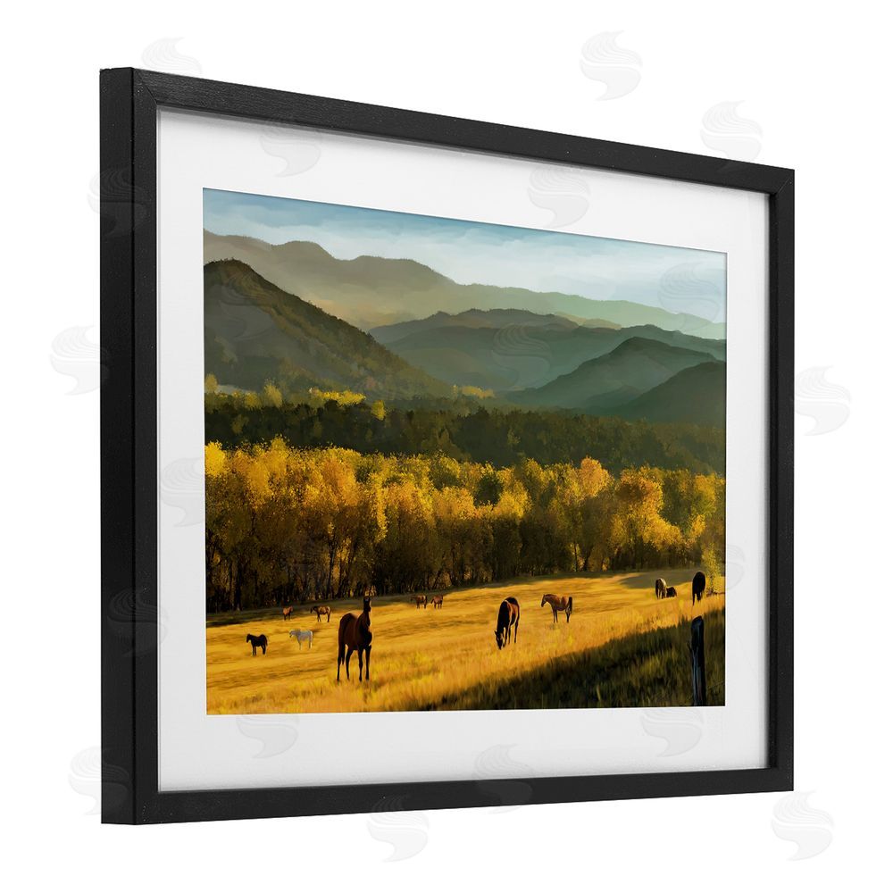 Renel Peters Grazing Horses in Valley Black Framed Print Under Glass Wall Art