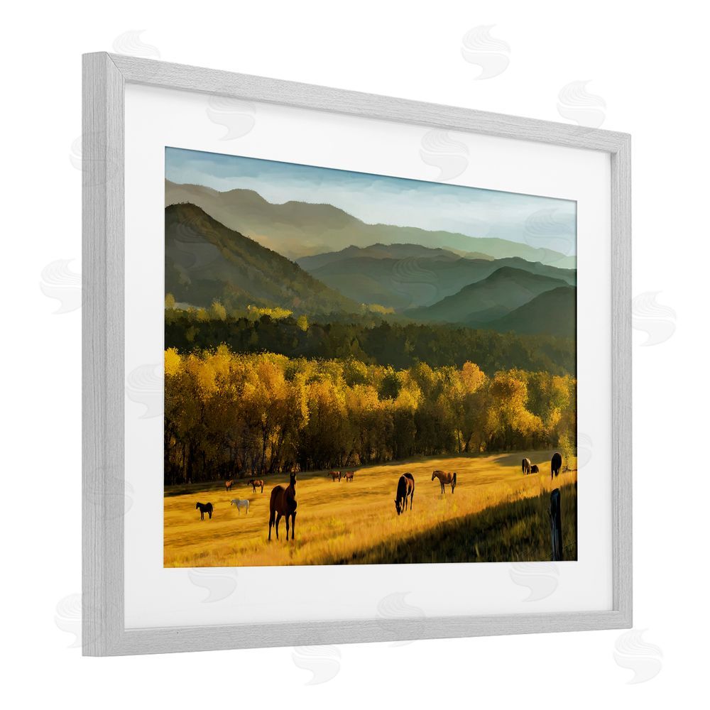 Renel Peters Grazing Horses in Valley Gray Framed Print Under Glass Wall Art