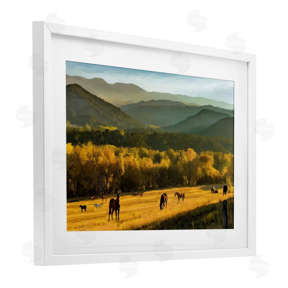 Renel Peters Grazing Horses in Valley White Framed Print Under Glass Wall Art