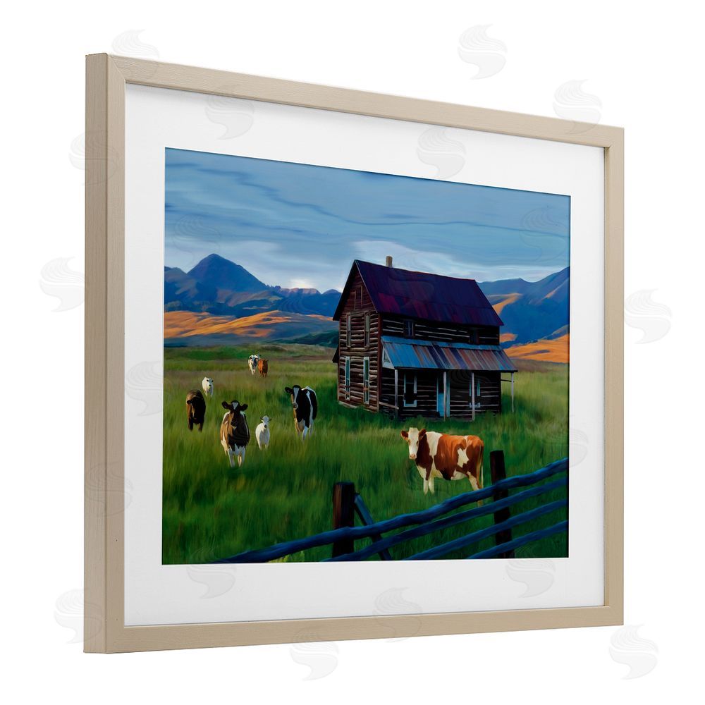 Renel Peters Grazing Cattle at Solitary Cabin Birch Framed Print Under Glass Wall Art