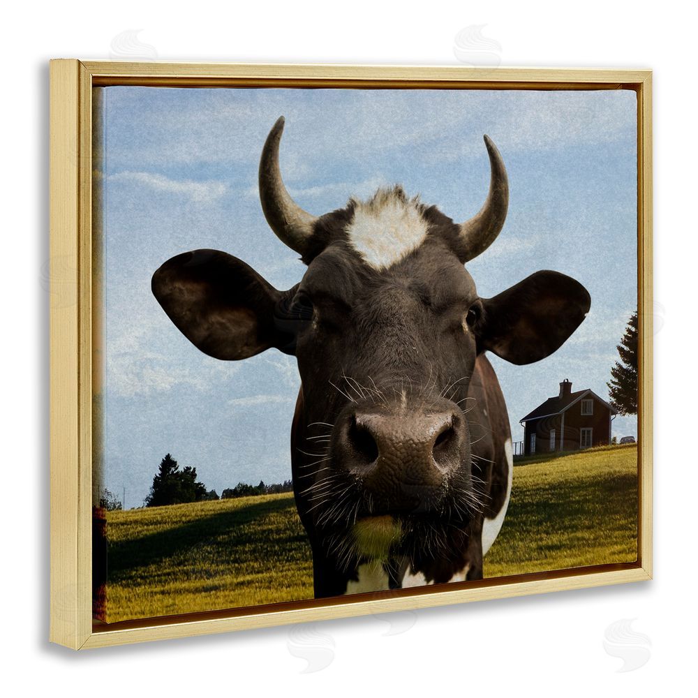 Marcus Prime Farm Cow with Curved Horns Gold Floating Frame Canvas Wall Art Print