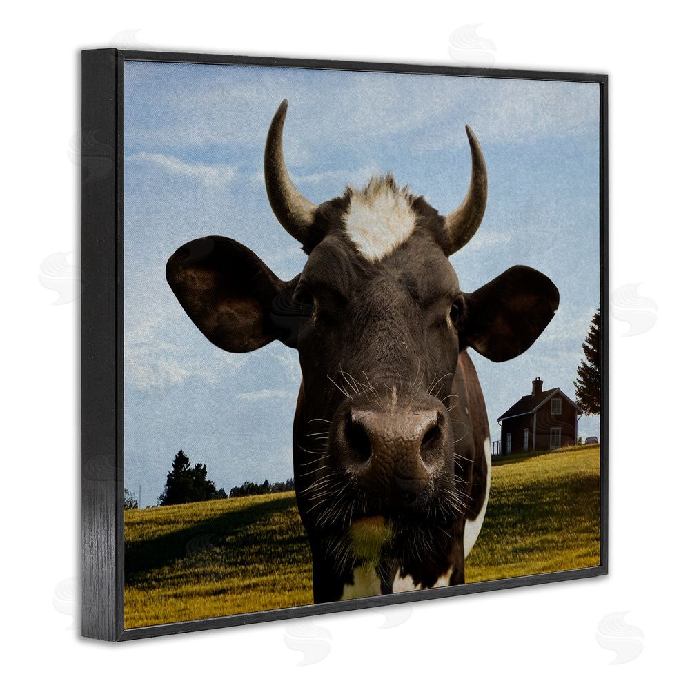 Marcus Prime Farm Cow with Curved Horns Black Framed Giclee Wall Art Print