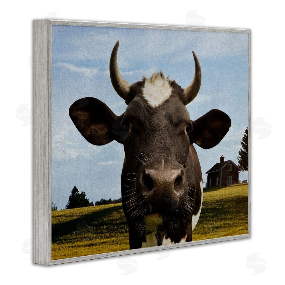 Marcus Prime Farm Cow with Curved Horns Gray Framed Giclee Wall Art Print
