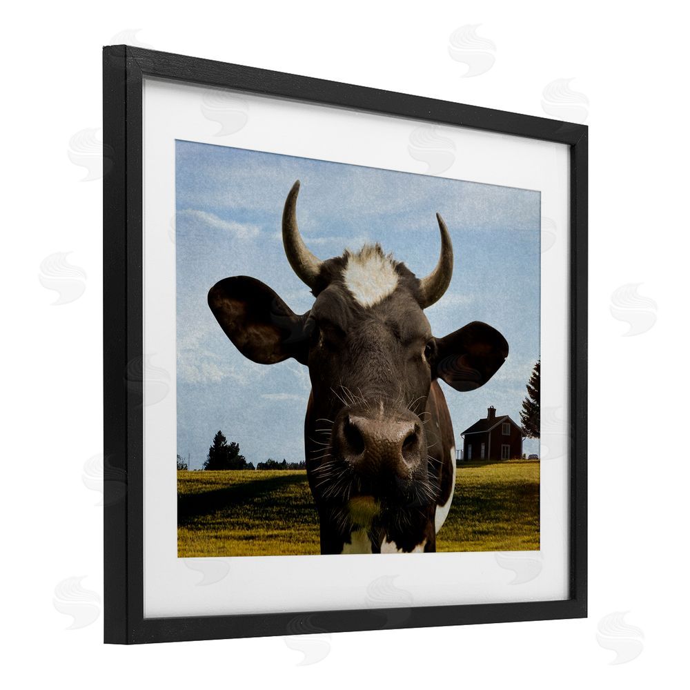 Marcus Prime Farm Cow with Curved Horns Black Framed Print Under Glass Wall Art
