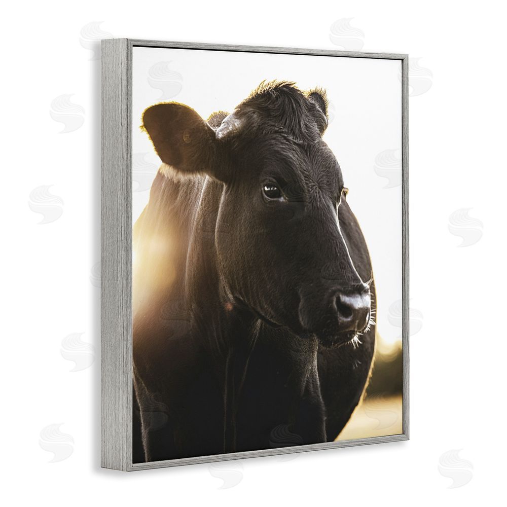 Leah Straatsma Bessie The Cow Portrait Gray Framed Giclee Wall Art Print