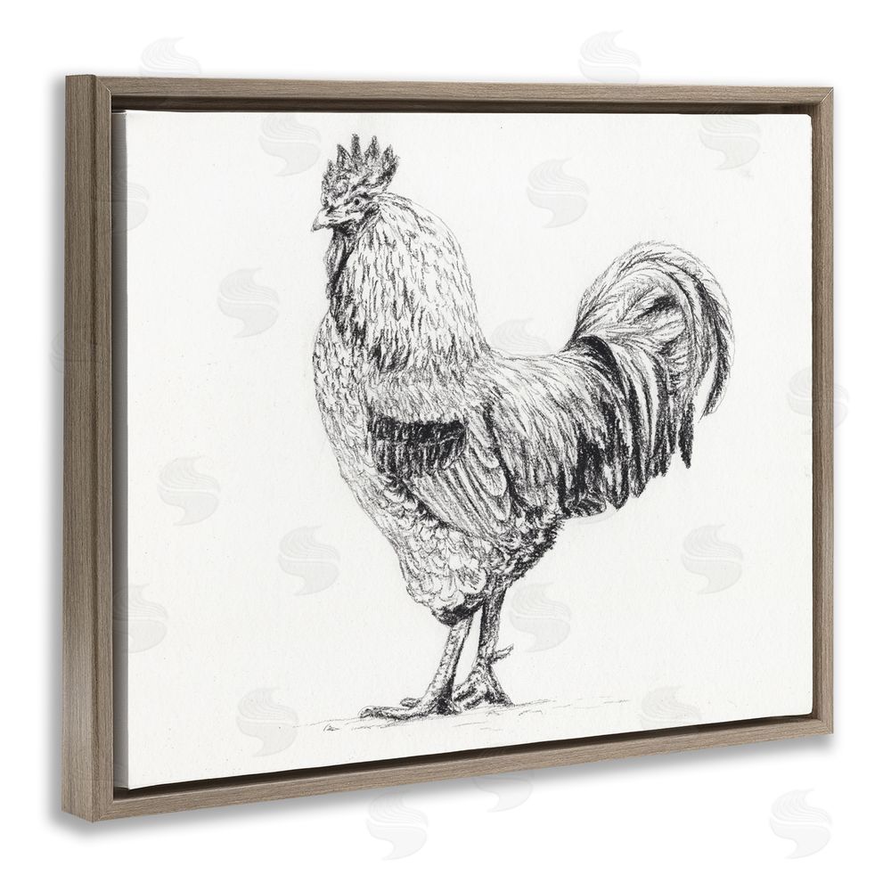 Leah Noel Art Rooster in Charcoal Brown Floating Frame Canvas Wall Art Print