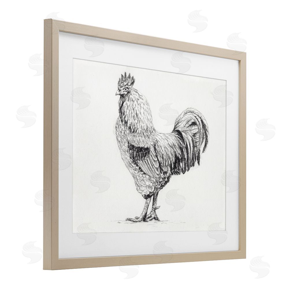 Leah Noel Art Rooster in Charcoal Birch Framed Print Under Glass Wall Art