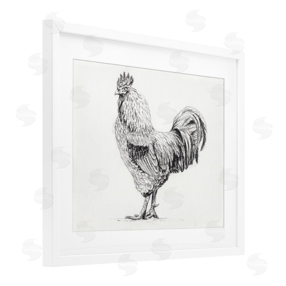 Leah Noel Art Rooster in Charcoal White Framed Print Under Glass Wall Art