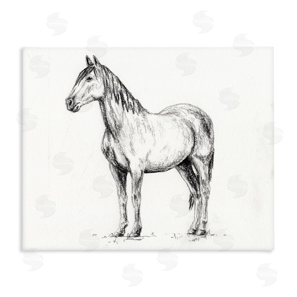 Leah Noel Art Horse In Charcoal Stretched Canvas Wall Art Print