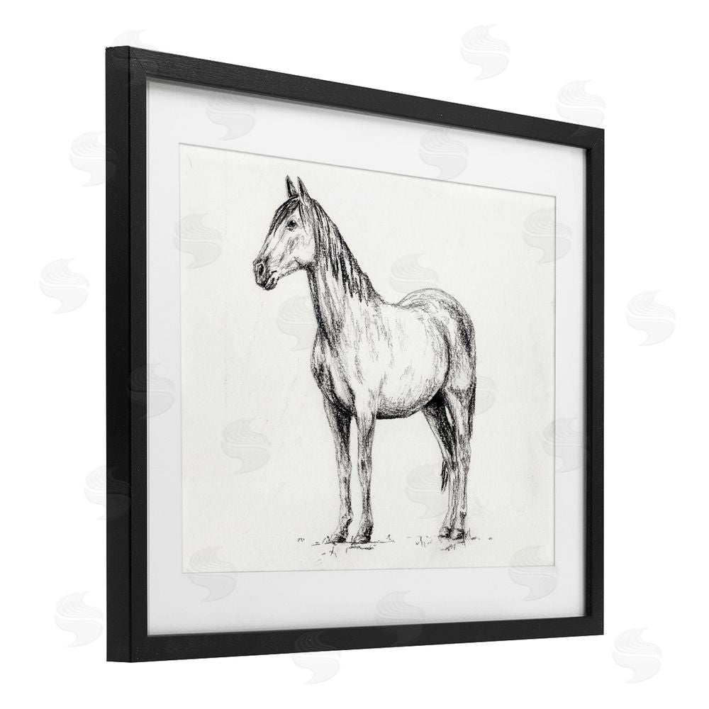 Leah Noel Art Horse In Charcoal Black Framed Print Under Glass Wall Art