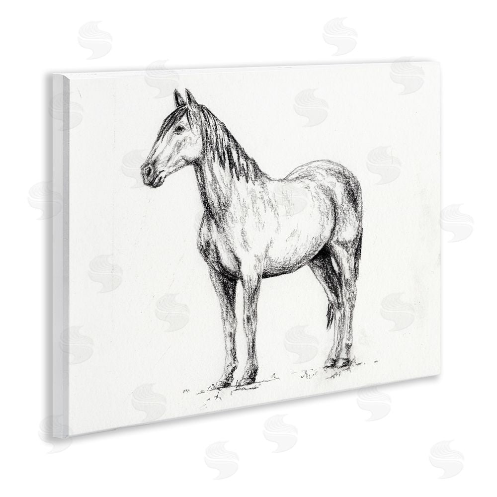Leah Noel Art Horse In Charcoal Wall Plaque Art Print