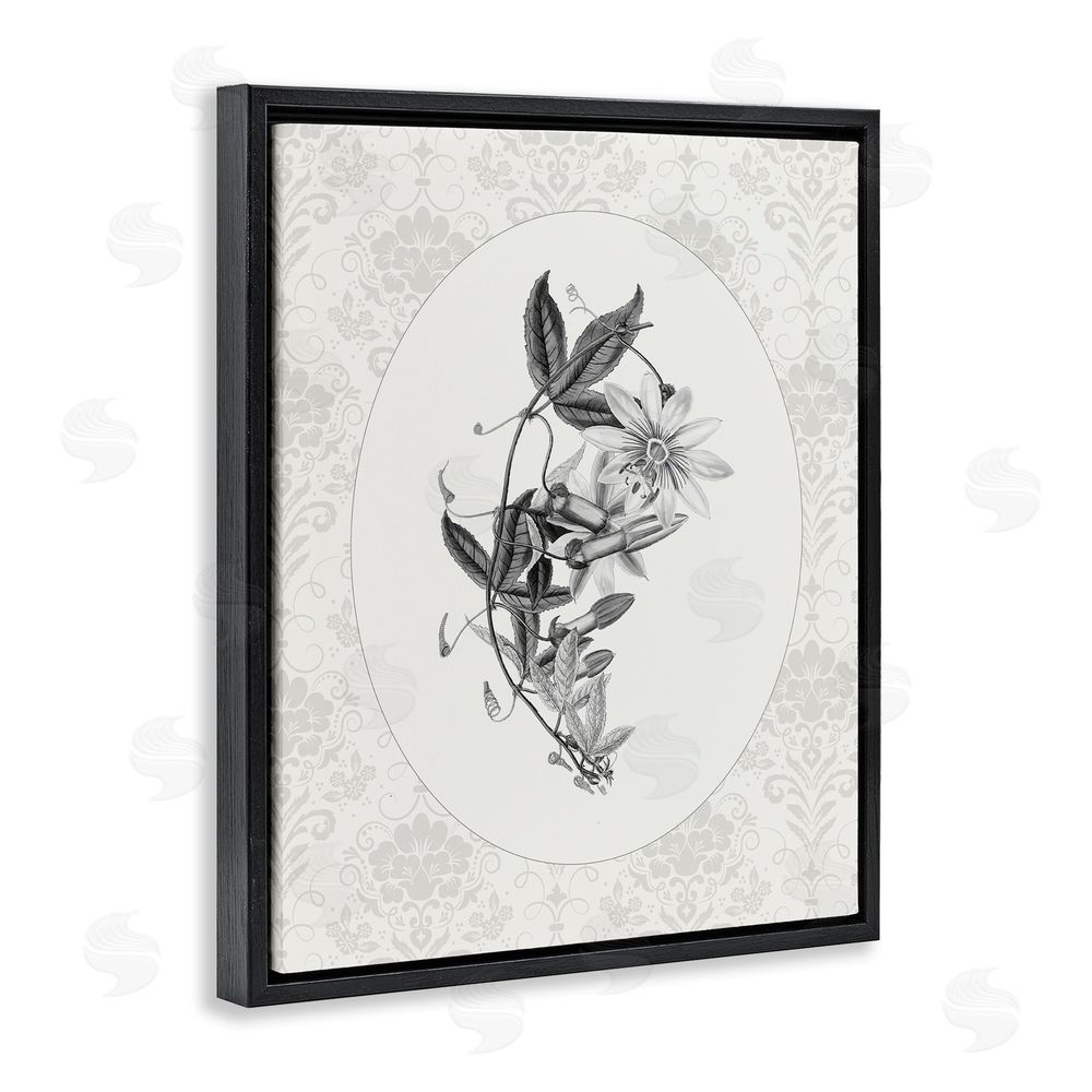 CAD Designs Vintage Botanical & Lace Black Floating Frame Canvas Wall Art Print