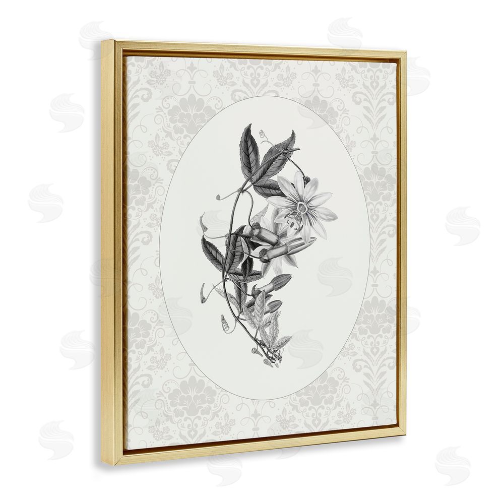 CAD Designs Vintage Botanical & Lace Gold Floating Frame Canvas Wall Art Print