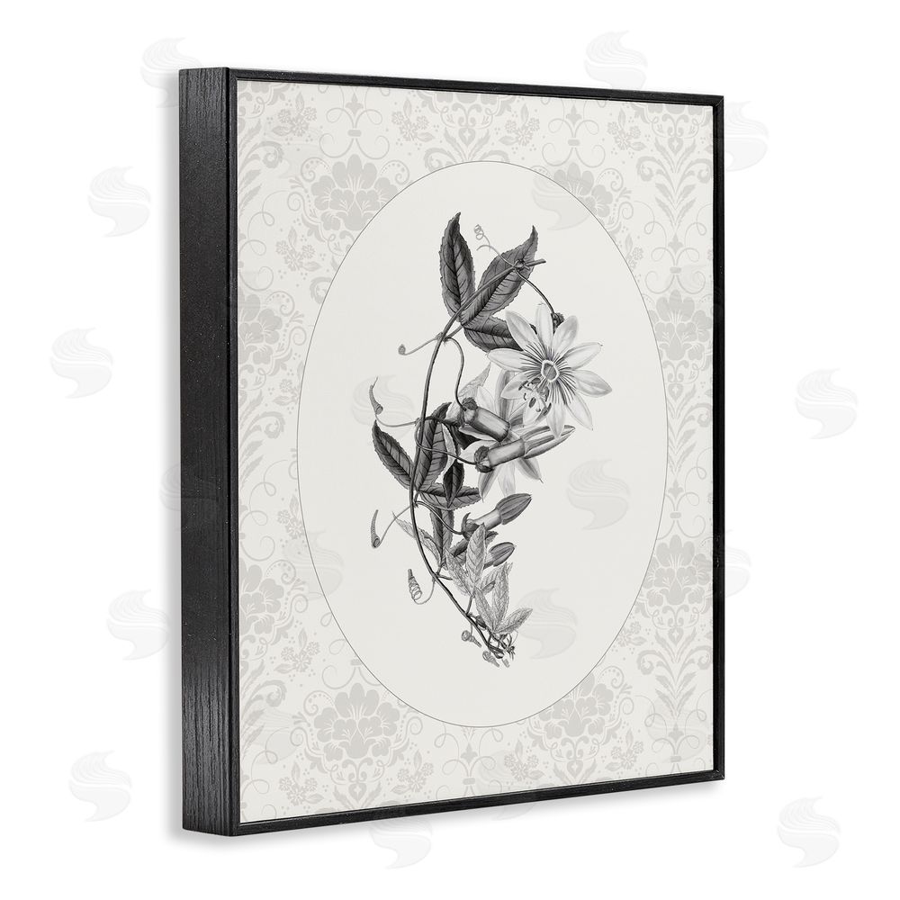 CAD Designs Vintage Botanical & Lace Black Framed Giclee Wall Art Print
