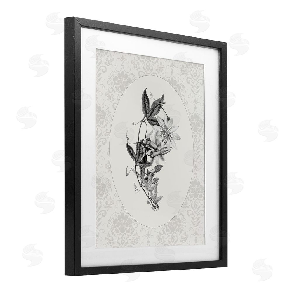 CAD Designs Vintage Botanical & Lace Black Framed Print Under Glass Wall Art