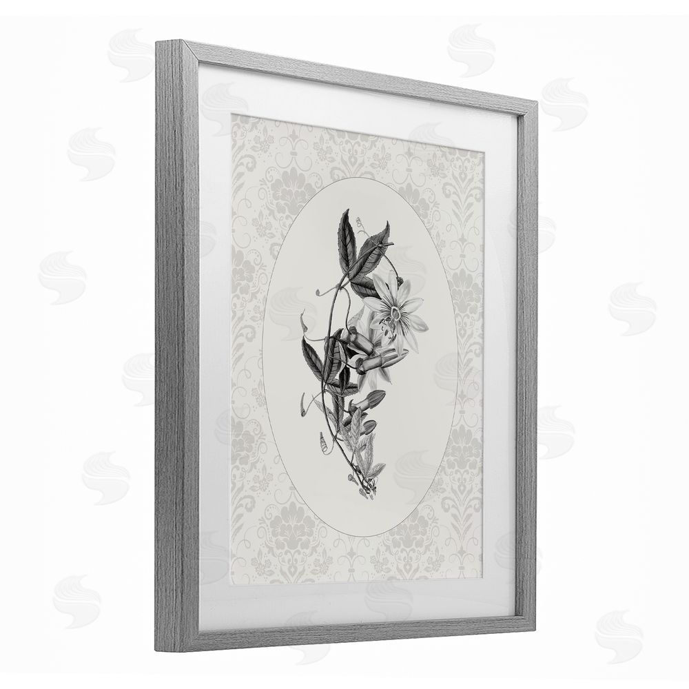 CAD Designs Vintage Botanical & Lace Gray Framed Print Under Glass Wall Art