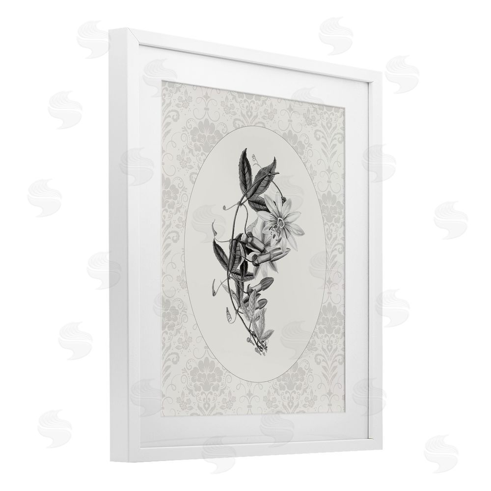 CAD Designs Vintage Botanical & Lace White Framed Print Under Glass Wall Art
