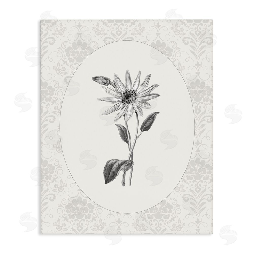 CAD Designs Antique Botanical & Lace Stretched Canvas Wall Art