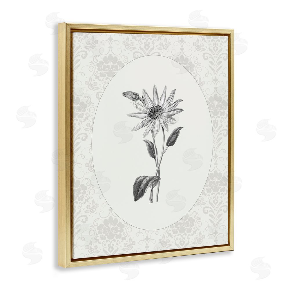 CAD Designs Antique Botanical & Lace Gold Floating Frame Canvas Wall Art Print