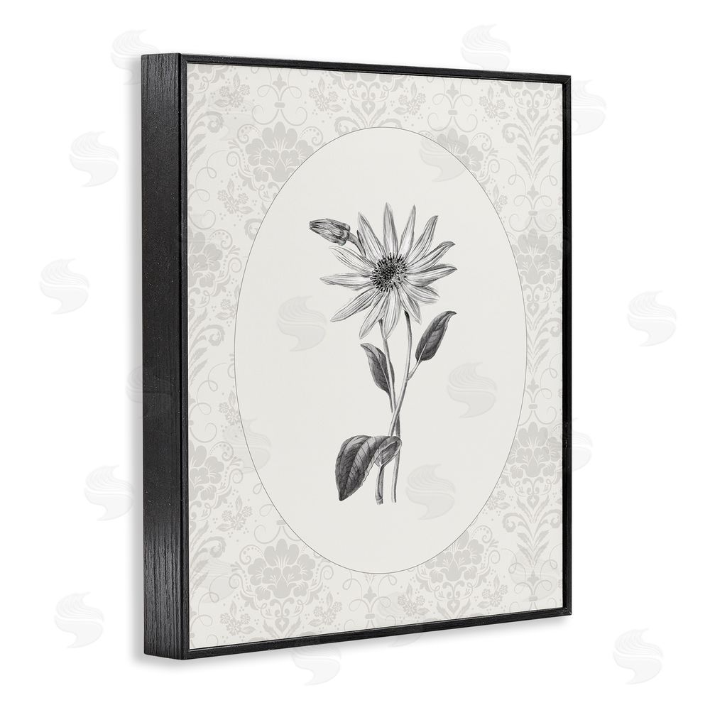 CAD Designs Antique Botanical & Lace Black Framed Giclee Wall Art Print