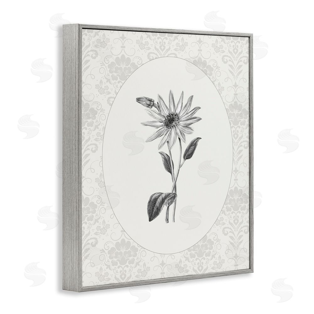 CAD Designs Antique Botanical & Lace Gray Framed Giclee Wall Art Print