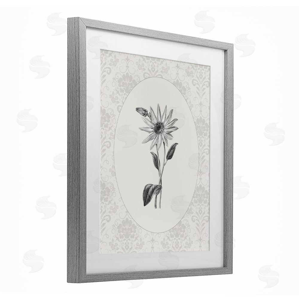 CAD Designs Antique Botanical & Lace Gray Framed Print Under Glass Wall Art